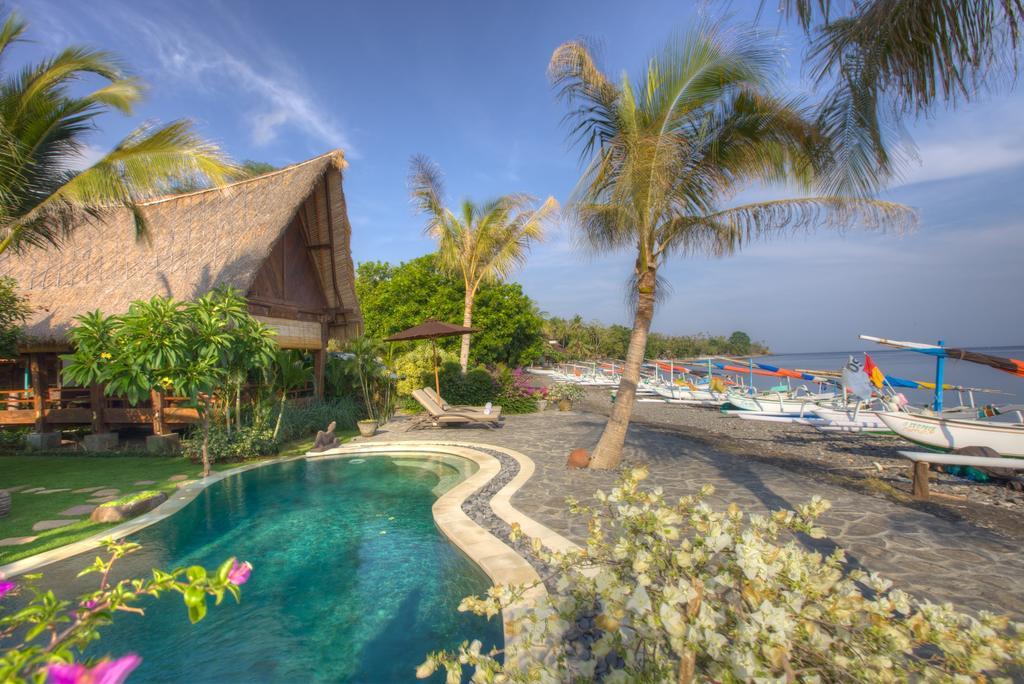 Вилла The Kampung Амед Номер фото
